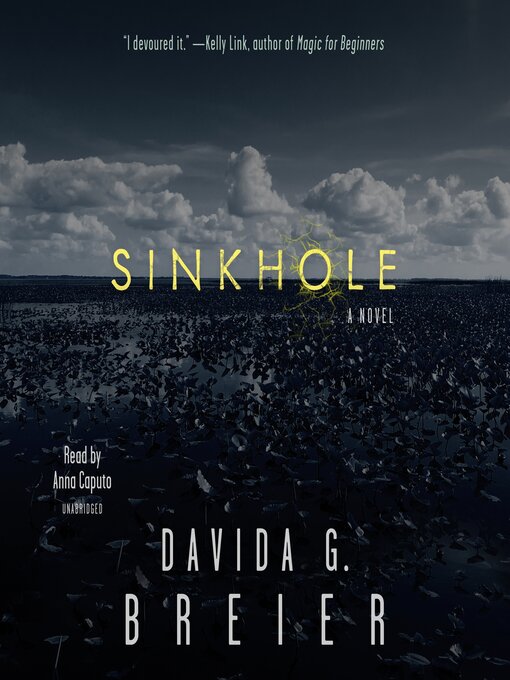 Title details for Sinkhole by Davida G. Breier - Available